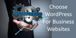 Why Use Wordpress for Business